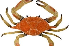 Crab-16-in-brown