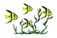 Fish-Group-in-Seagrass