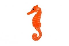 Seahorse-orange