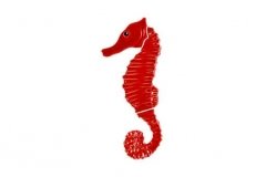 Seahorse-red