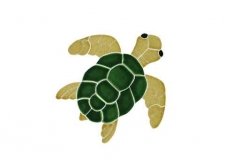 Turtle-Topview-small-natura