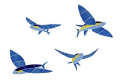 Flying-Fish-Set