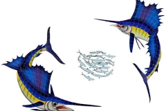 Sailfish-Group-large