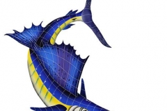 Sailfish-Right-large