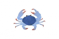 Crab-8in-blue