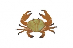 Crab-8in-brown