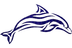 2016-Islander-Dolphin