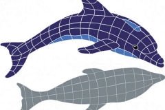 Diving-Dolphin-with-Shadow