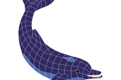 Dolphin-Classic-Downward-me