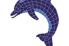 Dolphin-Classic-Upward-medi