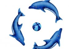 Dolphin-Group-small-with-bl