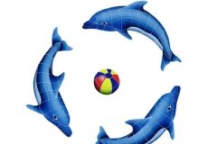 Dolphin-Group-small-with-mu