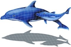 Dolphin-Pair-with-shadow