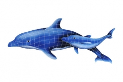Dolphin-Pair