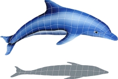 Dolphin-in-the-Sun-with-Sha