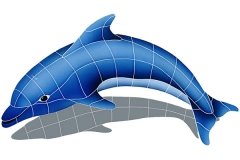 Dolphin-left-small-shadow
