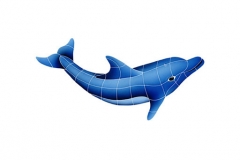 Dolphin-right-small
