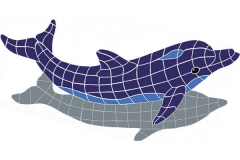 Jumping-Dolphin-with-shadow