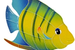 Angel-fish-small-right
