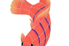 Flame-Angel-Fish-large-left