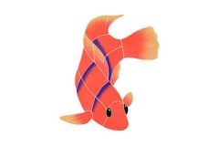 Flame-Angel-Fish-small-righ