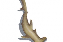 Hammerhead-with-shadow