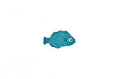 Mini-Tropical-Fish-aqua