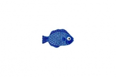Mini-Tropical-Fish-blue