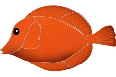 Tang-Fish-orange