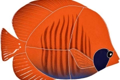 Tiger-Tang-orange