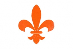Fleur-de-lis-baby-orange
