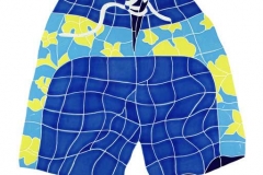 Board-Shorts-blue