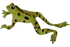 Leaping-Frog