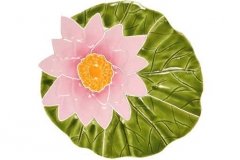 Lily-pad-with-flower