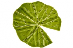 Lily-pad