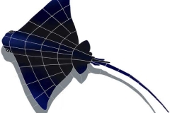 Ray-with-shadow-small
