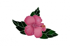 Tropical-Hibiscus