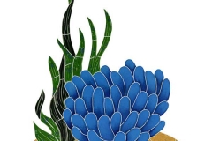 2016-Reef-Accent-Anemone
