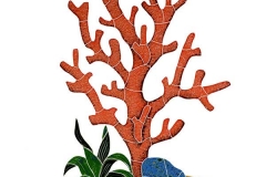 2016-Reef-Accent-Coral