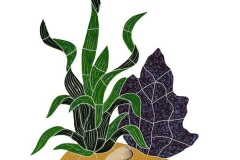 2016-Reef-Accent-Seagrass