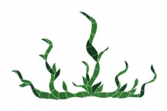 Seagrass-large