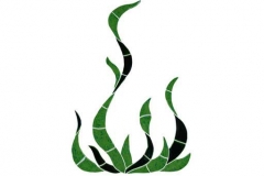 Seagrass-small