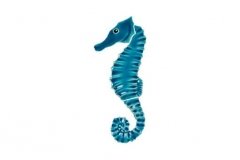 Seahorse-aqua