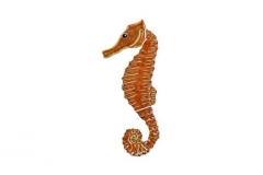 Seahorse--brown