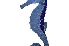 Seahorse-lg-left-blue
