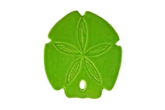 Sand-baby-dollar-lime