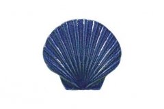 Seashell-5in-blue