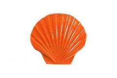 Seashell-5in-orange