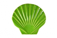 Seashell-baby-lime