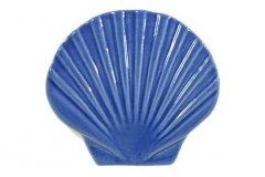 Seashell-light-blue